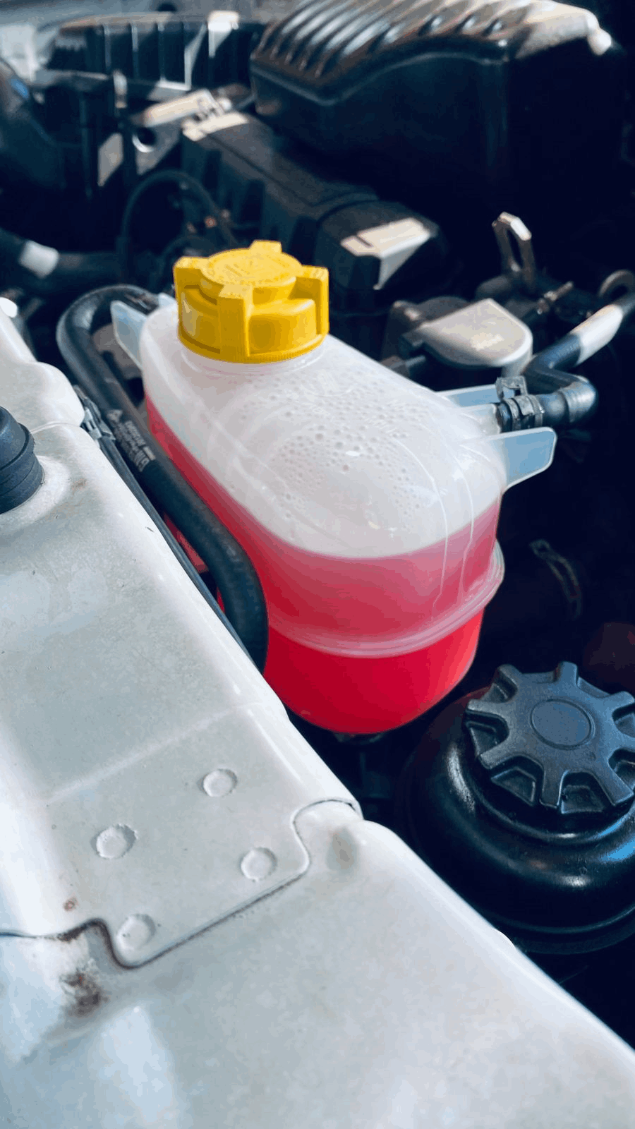 Mecânica Evolution Radiadores